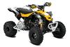 Can-Am DS 450 X XC 2012